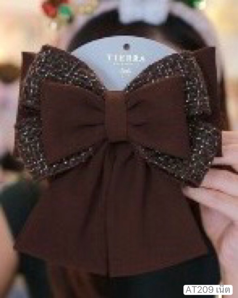 เน็ตติดผม AT209