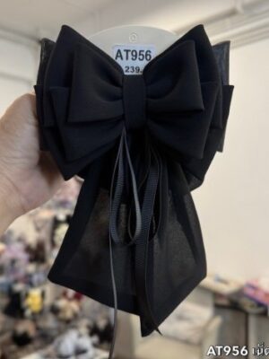 เน็ตติดผม AT956