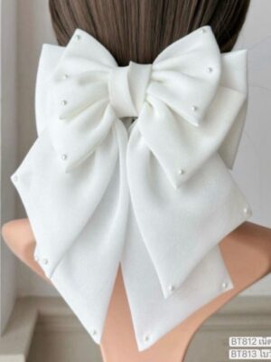 เน็ตติดผม BT812