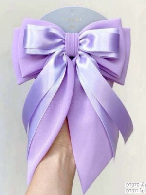 เน็ตติดผม DT070