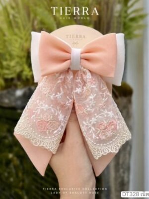 เน็ตติดผม DT328